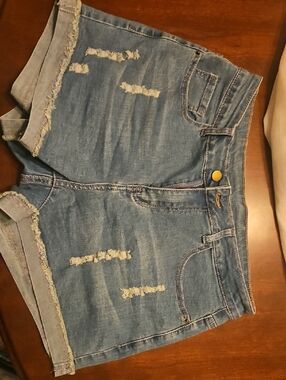 Amazon Light Blue Distressed Women's Jean Shorts